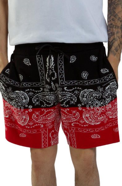 Front View Paisley V2 Knit Short